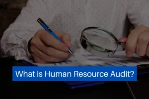 Read more about the article What is Human Resource Audit?
