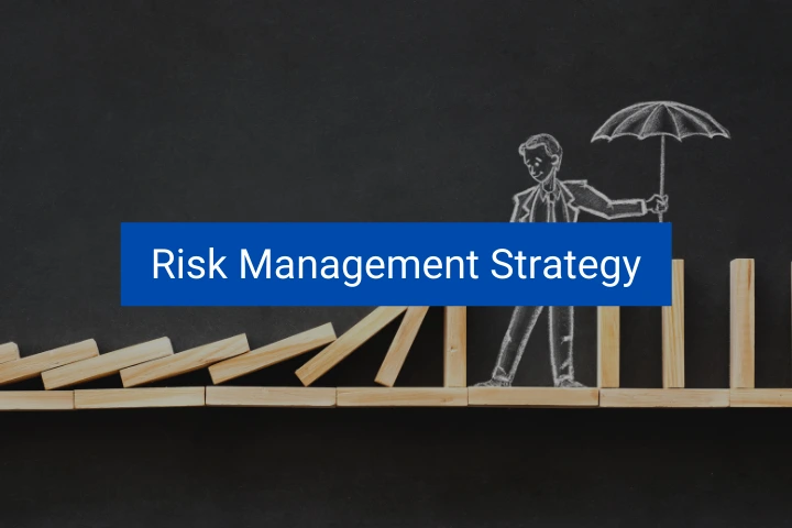 risk-management-strategy