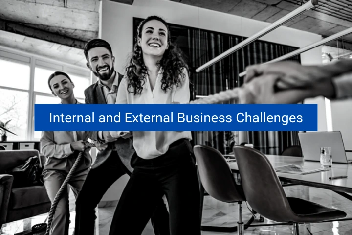internal-and-external-business-challenges