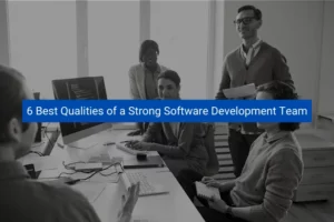 Read more about the article 6 Best Qualities of a Strong Software Development Team