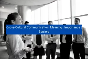 Read more about the article Cross-Cultural Communication: Meaning | Importance | Barriers