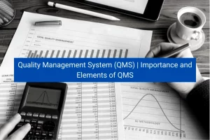 Read more about the article Quality Management System (QMS) | Importance and Elements of QMS